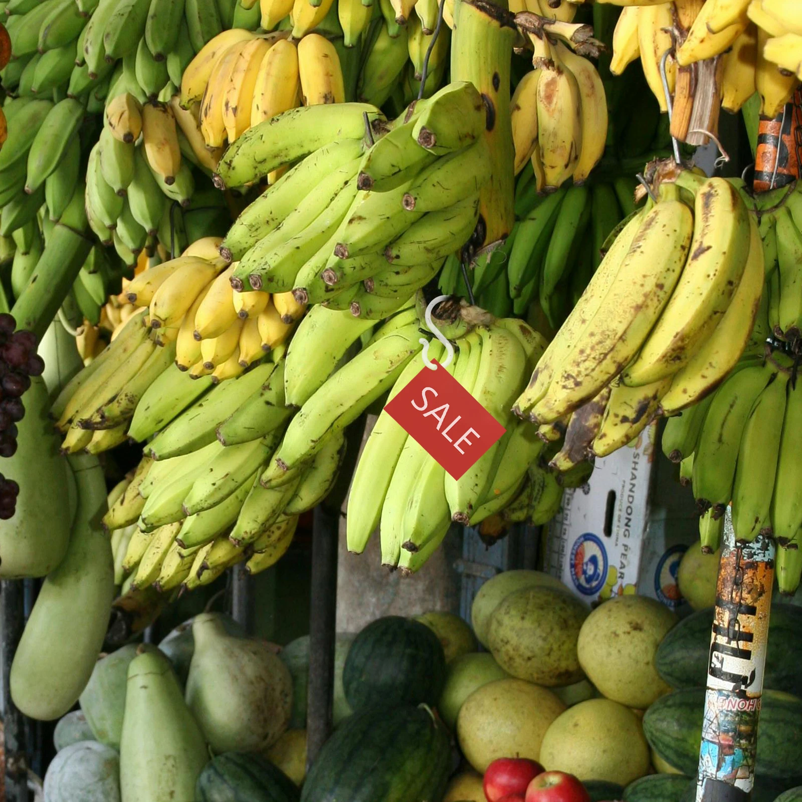 

20pcs Clear S-Shaped Hooks For Car Supermarket Transparent Bag Hook Multi-Functional Hanging Organizer Storage Rack For Tags