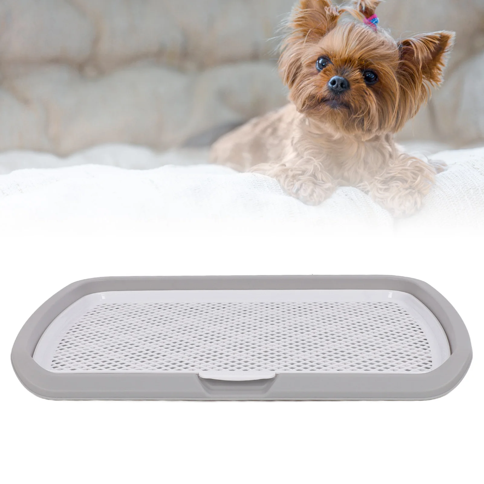 ZK40 Puppy Potty Training Tray Detachable Washable Mesh Dog Pee Pad Holder Tray for Small Breed Dog Gray