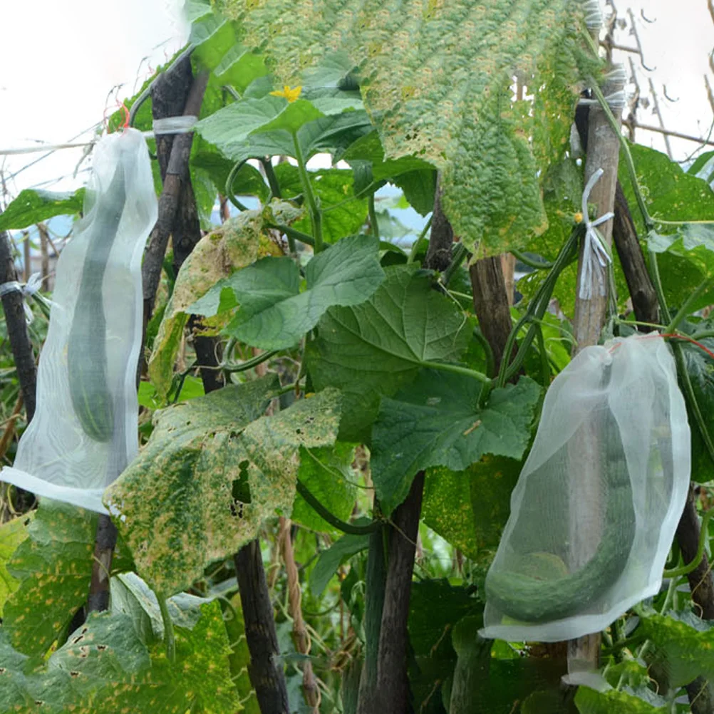 

50pcs Fruit Insect Net Bag Drawstring Plant Protector Anti-Bird Mesh Garden Cover White for Trees Fruit