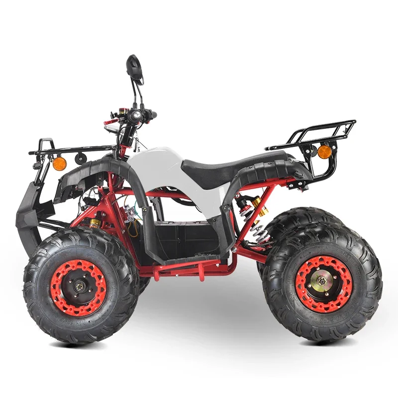 2024 Tao Motor Electric ATV Automatic 4-Wheeler With Chain Drive 2WD Quad Bike For Off-Road Vehicle For Starters