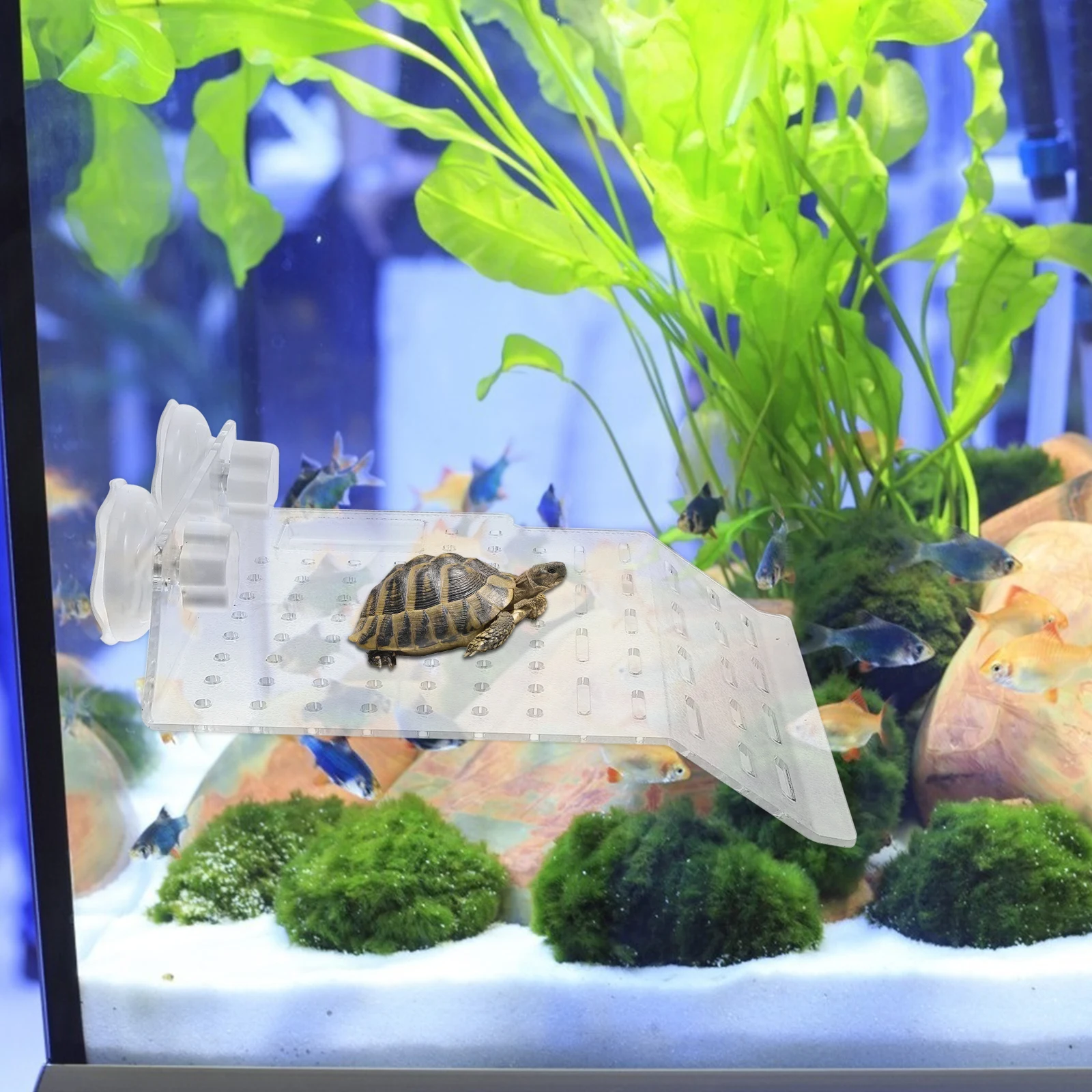 

1Pcs Turtle Basking Platform Acrylic Floating Terrace Stable Resting Dock for Turtles Tortoises Reptiles Aquarium Accessories