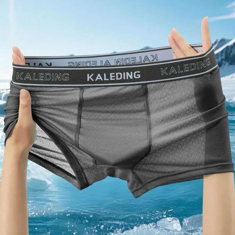 

4 pcs Men's Underpants Ice Silk Mesh Men Underwear Boxershorts Summer Breathable U Convex Sexy Underwear For Men