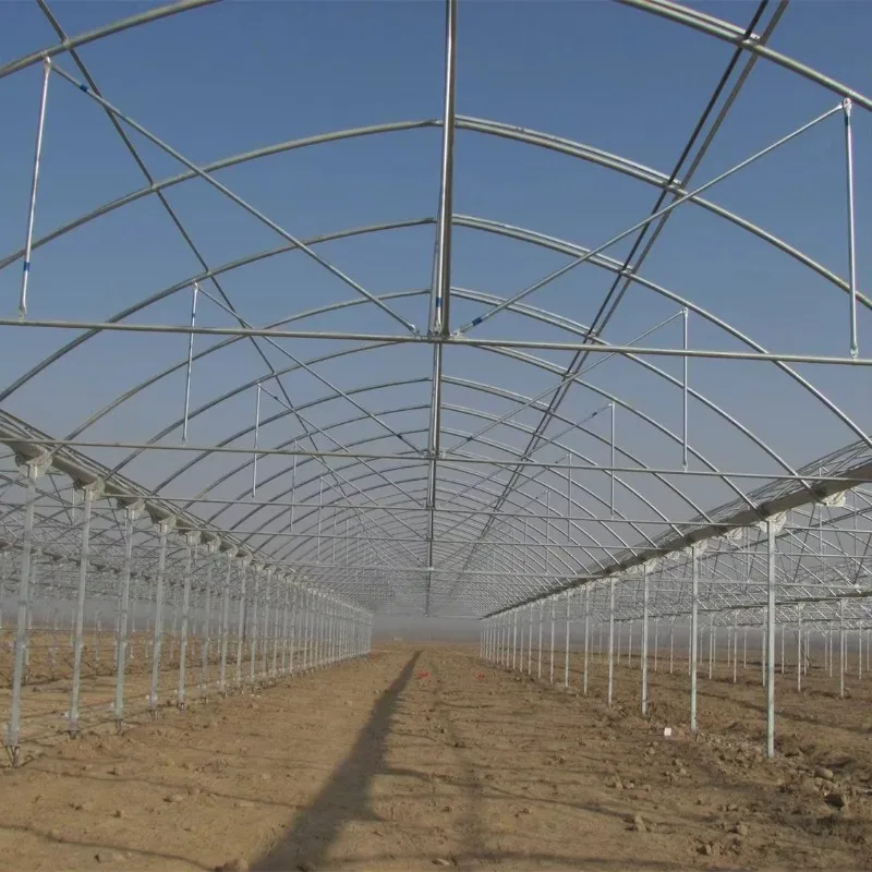 إطار معدني تجاري كبير متعدد المسحات للزراعة الدفيئة لنظام زراعة الزراعة المائية الدفيئة ذات اللون الأخضر #6