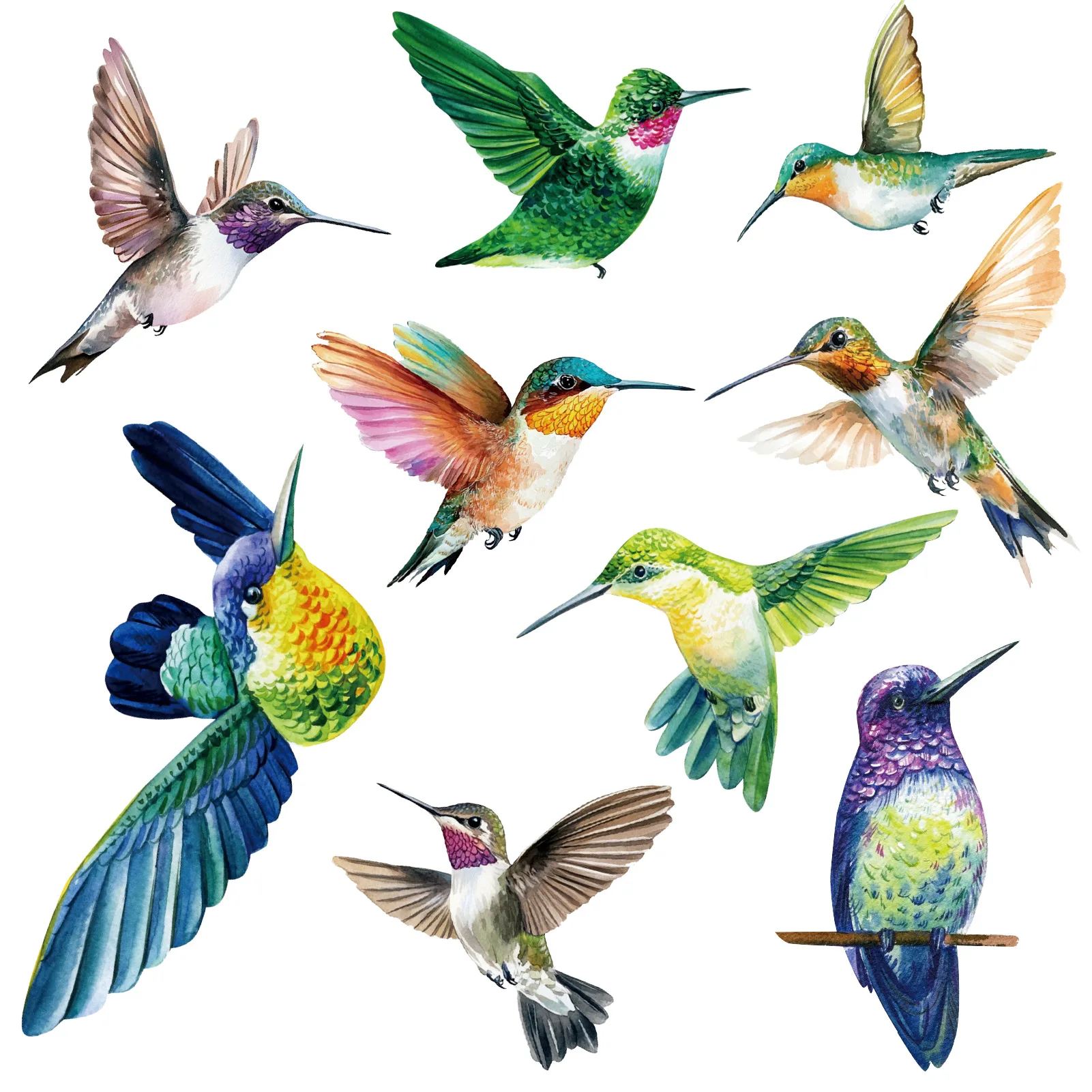 Hummingbird electrostatic sticker anti-bird impact Glass sticker window home decoration sticker Waterproof sticker