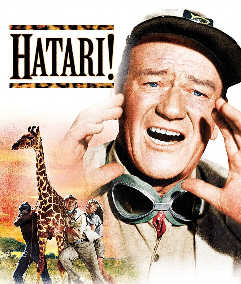 HATARI Film John Wayne Elsa Martinelli Rode Knoppen Hardy Kruger ZIJDE POSTER Wandverf