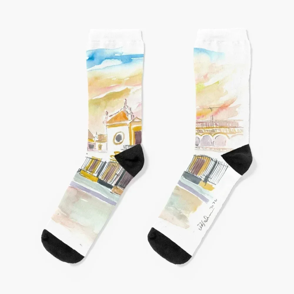 Seville Plaza De Toros Maestranza In Andalusia Spain Socks Crossfit cotton Socks Woman Men's