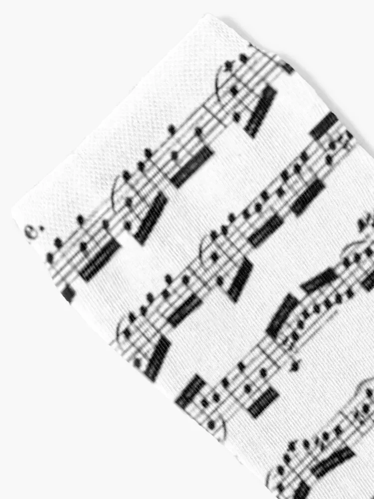 Bach Cello Suite I Prelude Socks floral sheer moving stockings japanese fashion Socks Man Women's