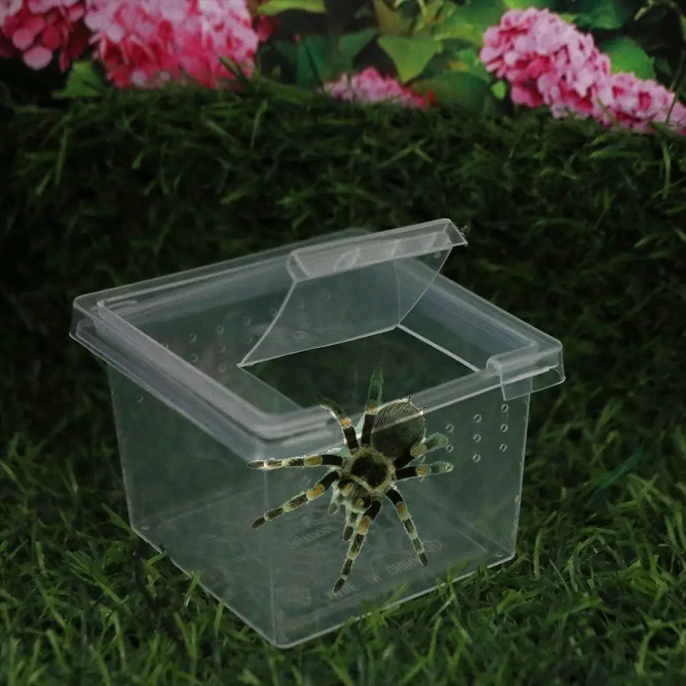 Durable Reptile Accessories Plastic Household Transparent Reptile Habitat Insect Feeding Box Hatching Tank Lizard Living Box