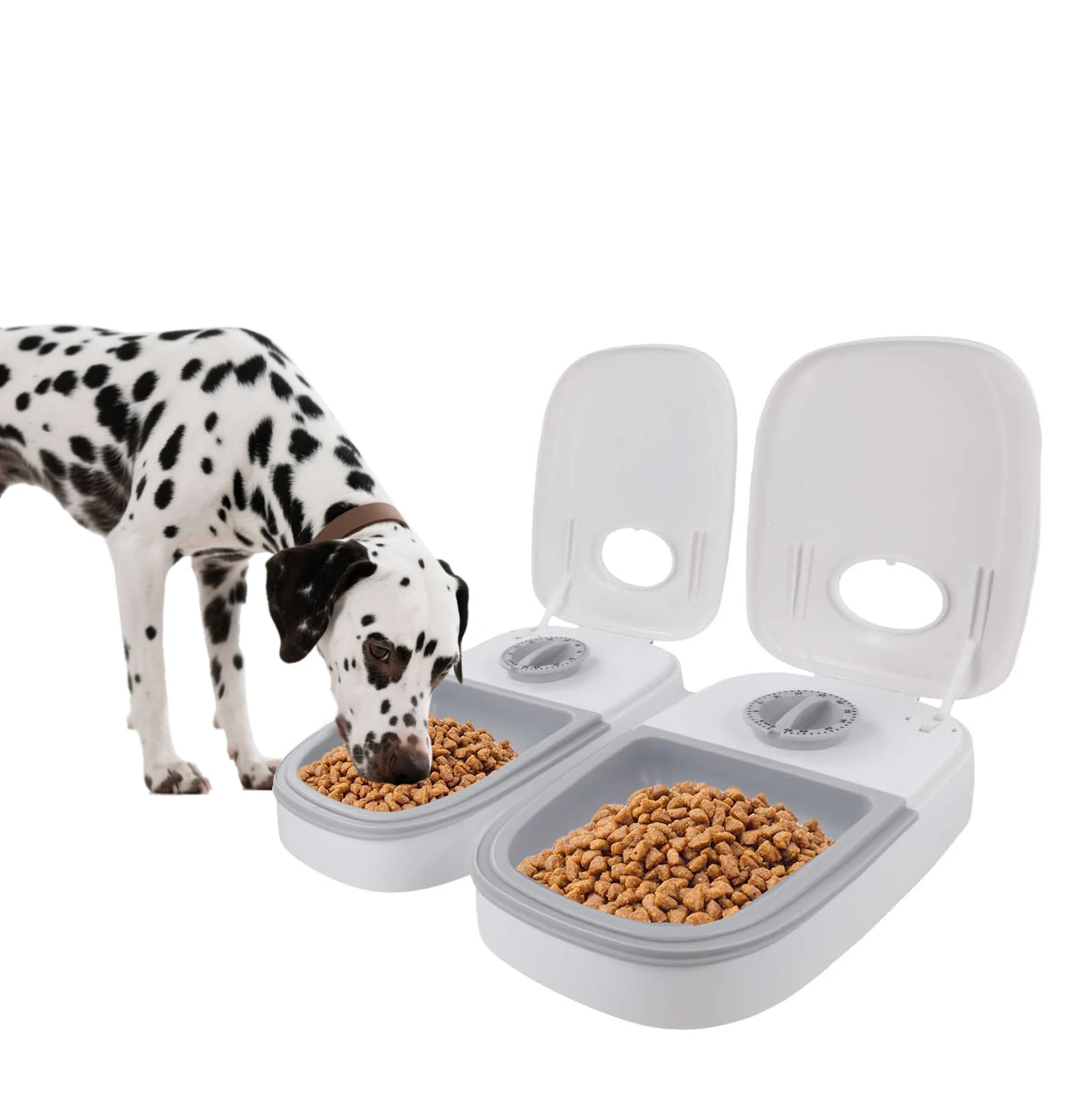 48H Timer 700ml Pet Feeder,Dual Bowl Wet Dry Food Dispenser Easy Clean for Cats Dogs
