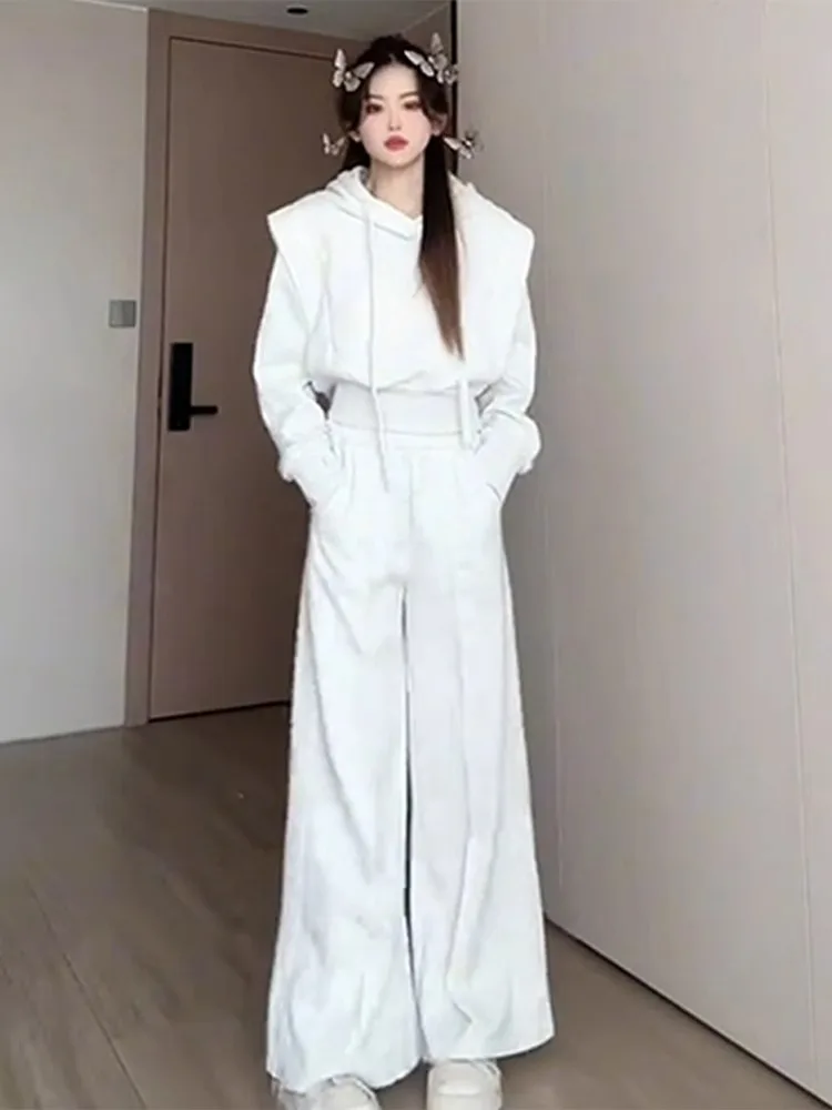2024 Autumn New Grey Korean Style Sportswear Casual Two-Piece Set High-End Feelings Complete Outfit Sweatshirt Ensemble