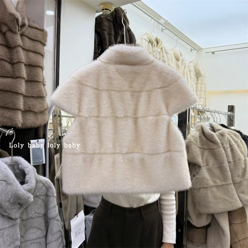 Chaleco de piel de visón sin mangas con cuello levantado para mujer, Top para mujer, ropa de calle de estilo coreano, chaleco de piel cálido y esponjoso, prendas de vestir