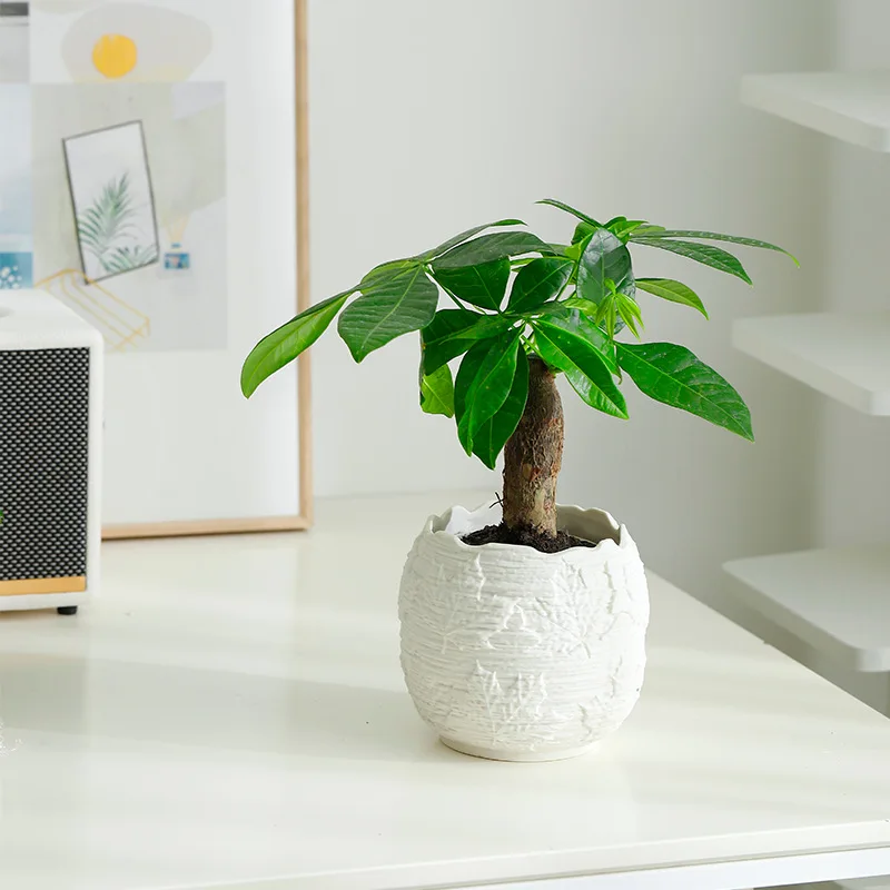 

Кленовый лист, рельефная текстура, цветочный горшок, керамические зеленые растения, принадлежности для дома и сада