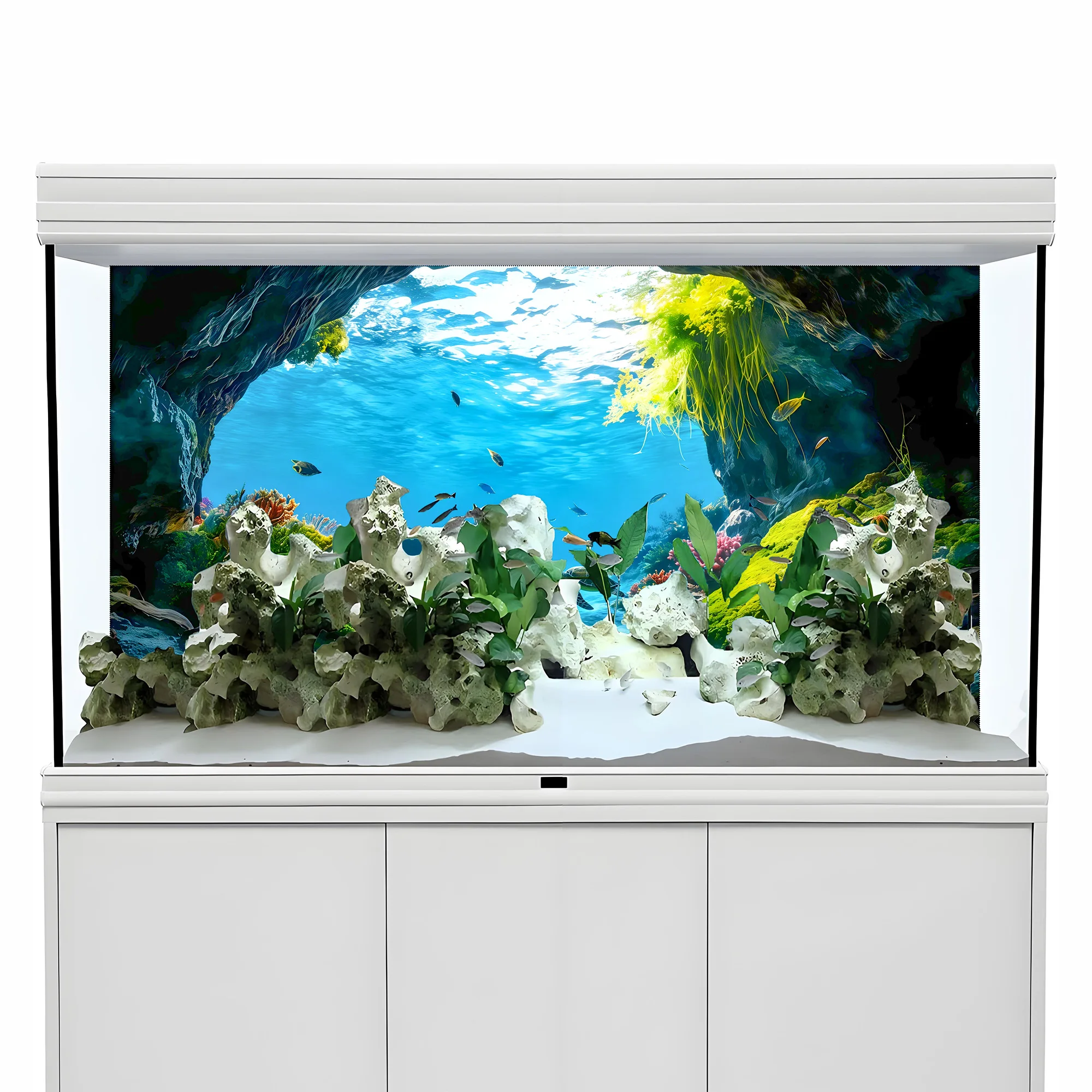 Turtle Cave Paradise, achtergr - Aquarium Fish Paradise recensie en prijs