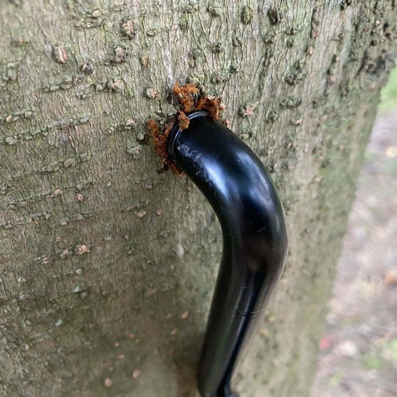 

Крючок-держатель для лука на охотничью платформу, вкручиваемый в стойку, тройной, для аксессуаров, для охотничьих платформ