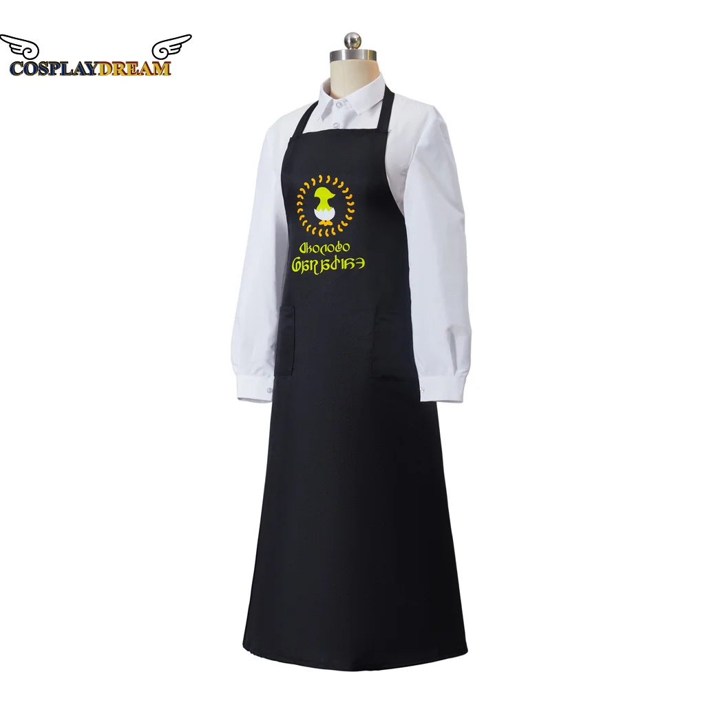 Giochi Final Fantasy sniv Ishgard Cosplay grembiule Costume Ishgard Game Cosplay Costume cucina ristorante Cafe Workwear