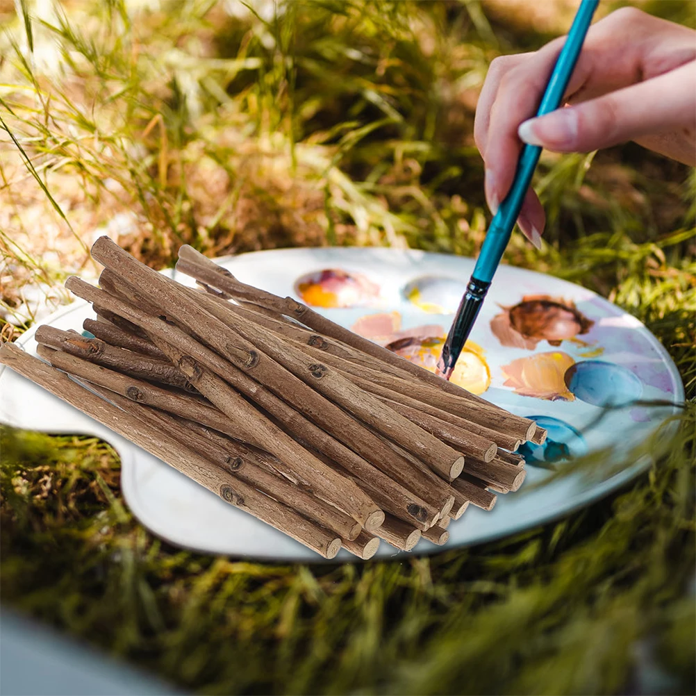 Bastoncini di legno naturale Creazione di tronchi fai da te Rami Ramoscelli per bambini Progetti da spiaggia Piccoli pezzi Bastoncini decorativi lunghi secchi