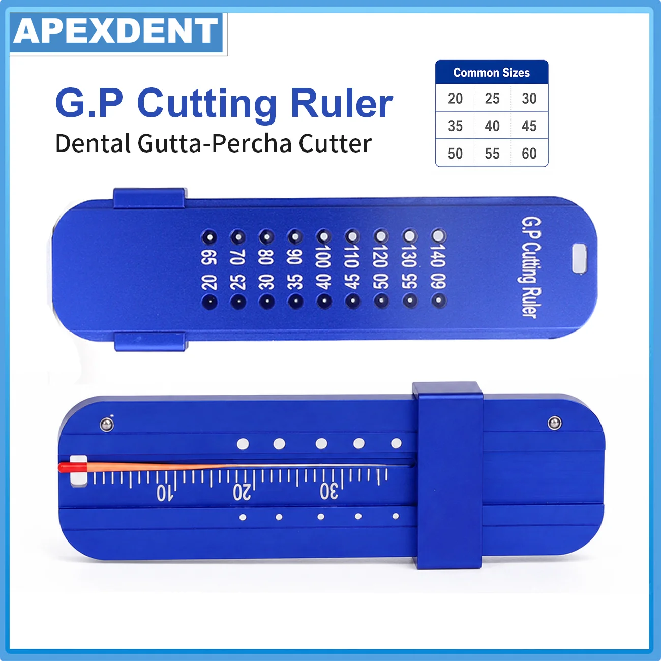 APEXDENT Dental GP Cutting Ruler With Holes Gutta Percha Point Cutter Dentistry Length Measure Scale Endodontic