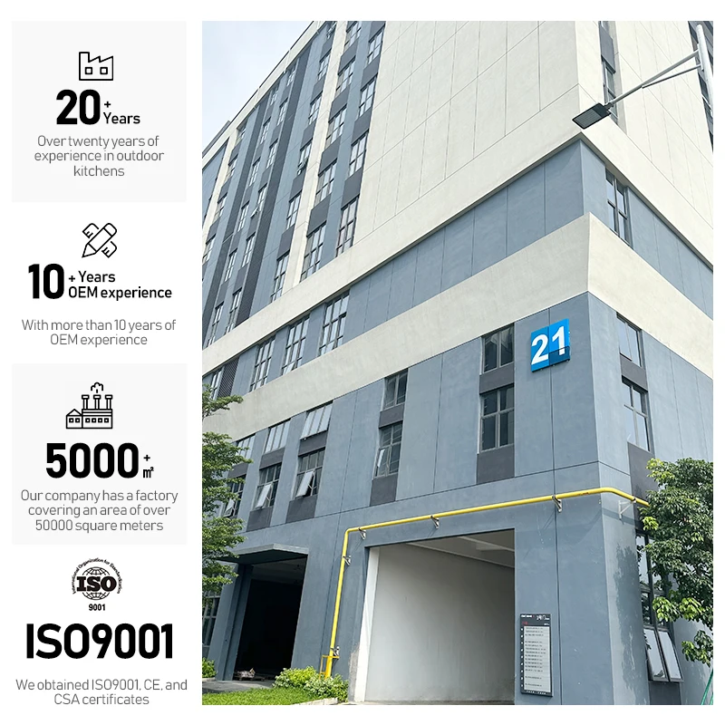 Barbecue Grills Product Category Outdoor Freestanding BBQ Gas Grill with Infrared Back Burner