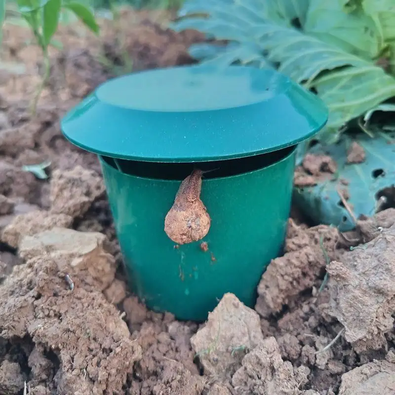 Eco Friendly Snail & Slug Trap Cage Household Garden Farm Pest Capture Tool