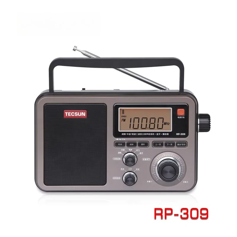 RP-309 Portable Dsp…