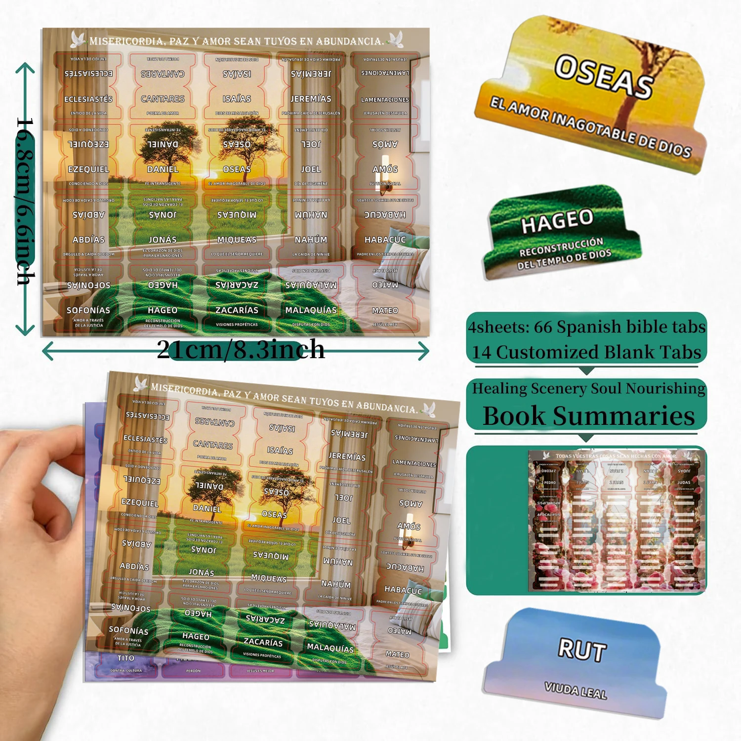 علامات تبويب الكتاب المقدس الإسبانية، محتوى الكتاب المقدس باللغة الإسبانية مع مجسمات كتاب مغذية الروح، علامات تبويب اسم الكتاب الإسباني الجديد والقديم