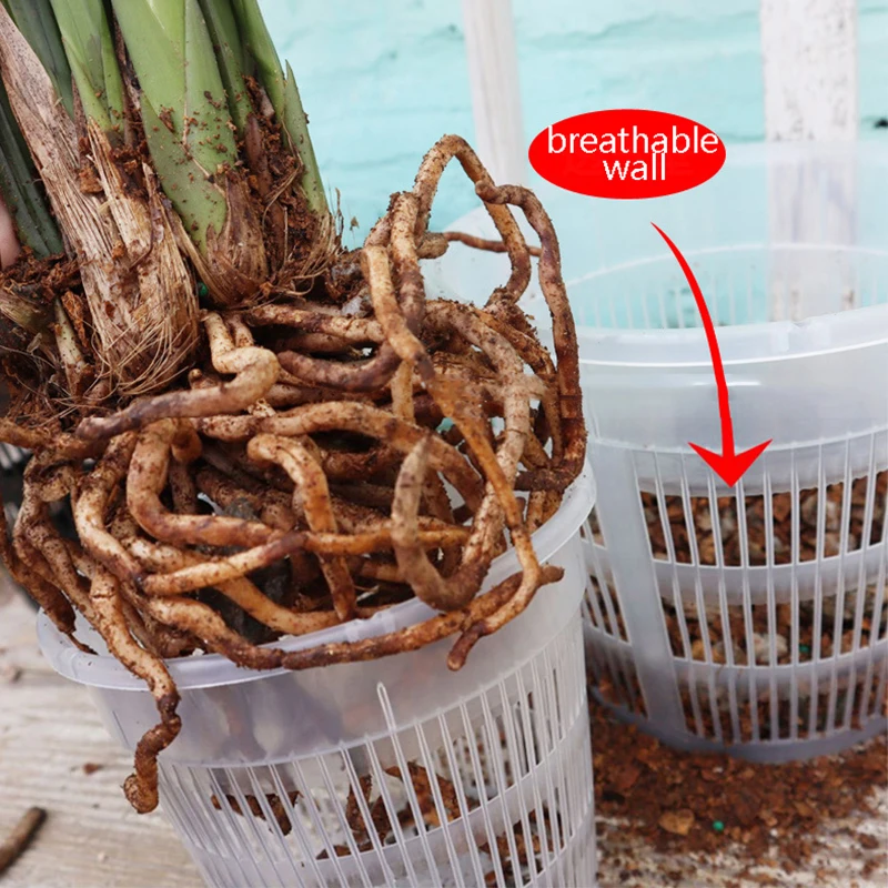 Maceta transparente con Control de raíces, maceta de malla de 11/14cm para flor de orquídeas, contenedor de crecimiento transpirable, maceta de plástico para jardín