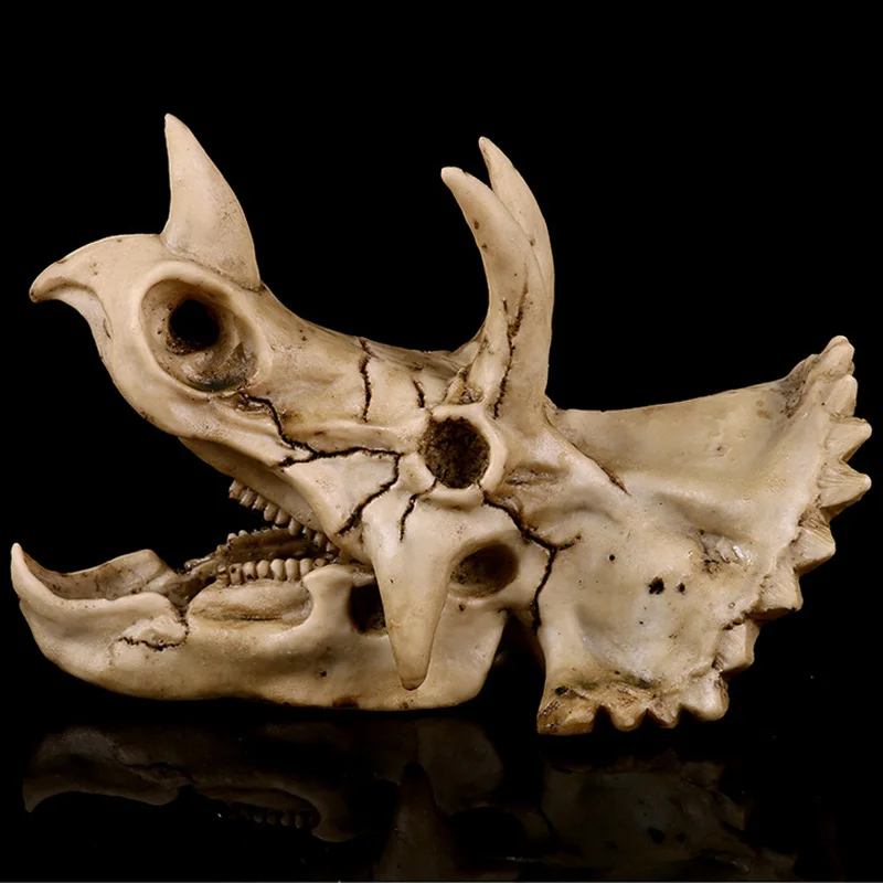 Triceratops Dinosaur Head Skull Resin Crafts Fossil Skeleton Zoo Teaching Model Halloween Gift Props for Home Office Decoration