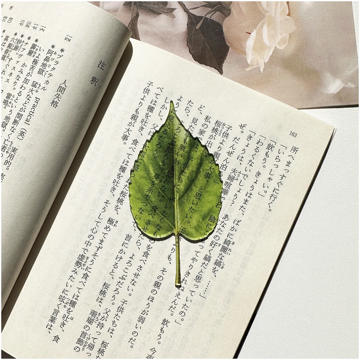 المرجعية الأصلية الاكريليك شفا - مراجعة Aesthetic Bookend وسعره