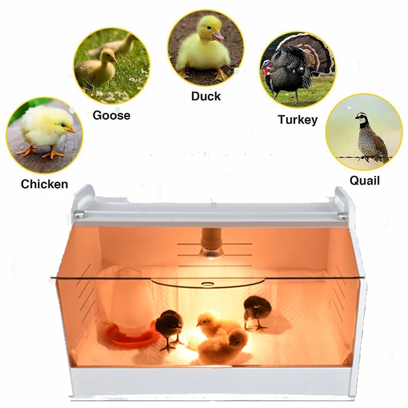 

Chicken Brooder Box Large Size Waterproof Cabin Animal Heat Lamp Chicken Coop Bird Feeder Crawl pet Breeding Box Farm Accessorie