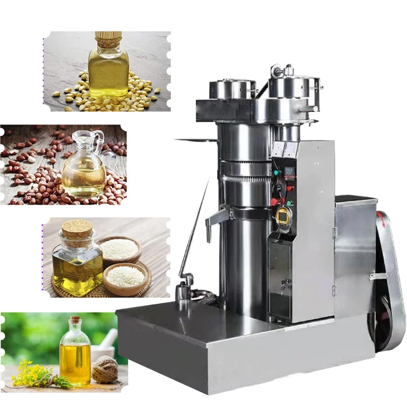 Electric Oil Extractor Automatic Oil Press Machine Commercial Use Sesame Canola Sunflower Seeds Peanuts Walnuts Oil Maker Machin