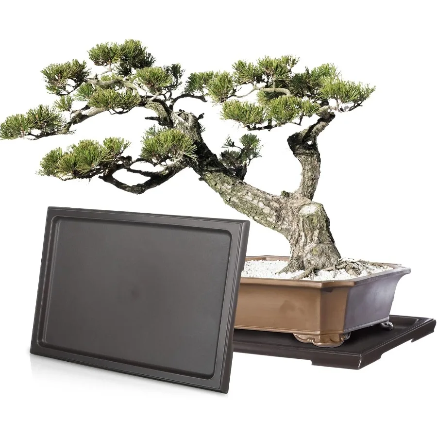 

2 шт. лоток для влажности бонсай, капельный лоток, пластиковый ловушка для воды для растений, блюдца для растений в помещении и на открытом воздухе, кактус, суккуленты, бонсай