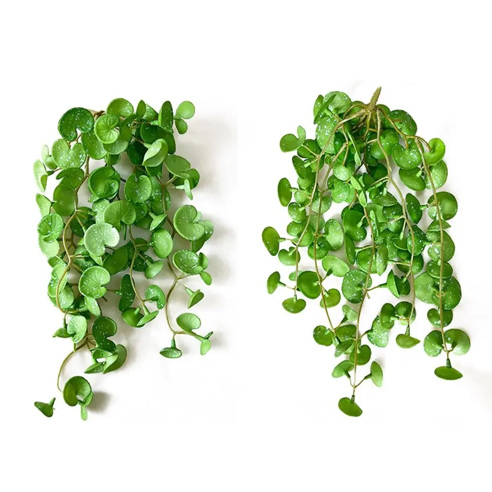غراء ناعم نبات اصطناعي إبداعي أخضر إيفا نباتات عصارية يترك جدار معلق عملة نحاسية صناعية محاكاة العشب بونساي