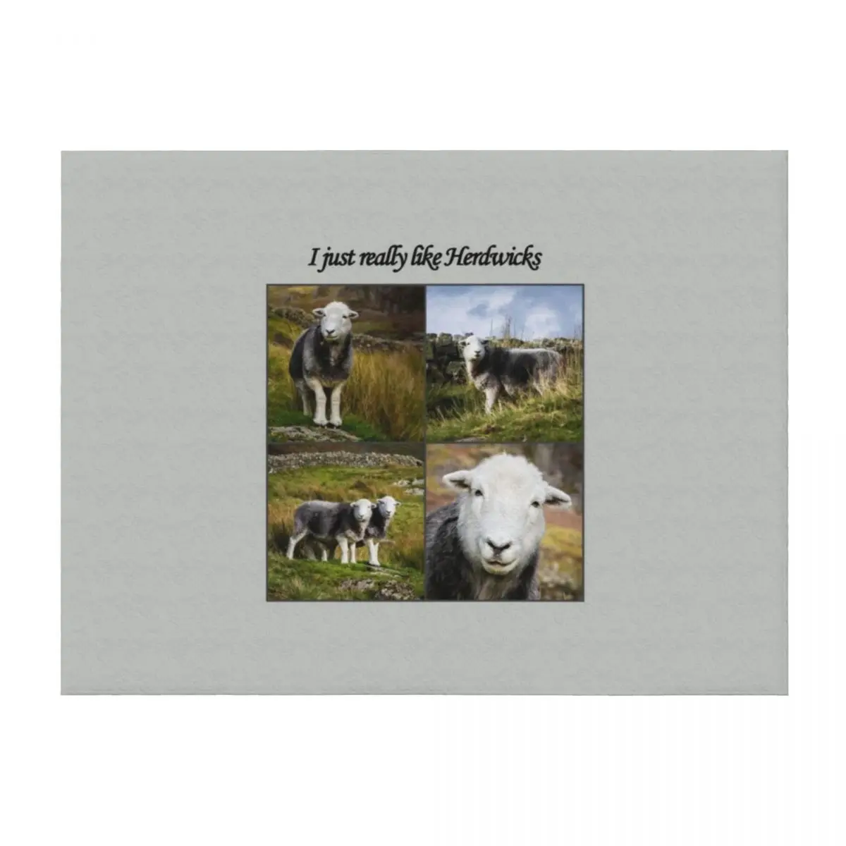 

I Just Really Like Herdwicks Throw Blanket for winter For Sofa Thin halloween Luxury Throw Blankets