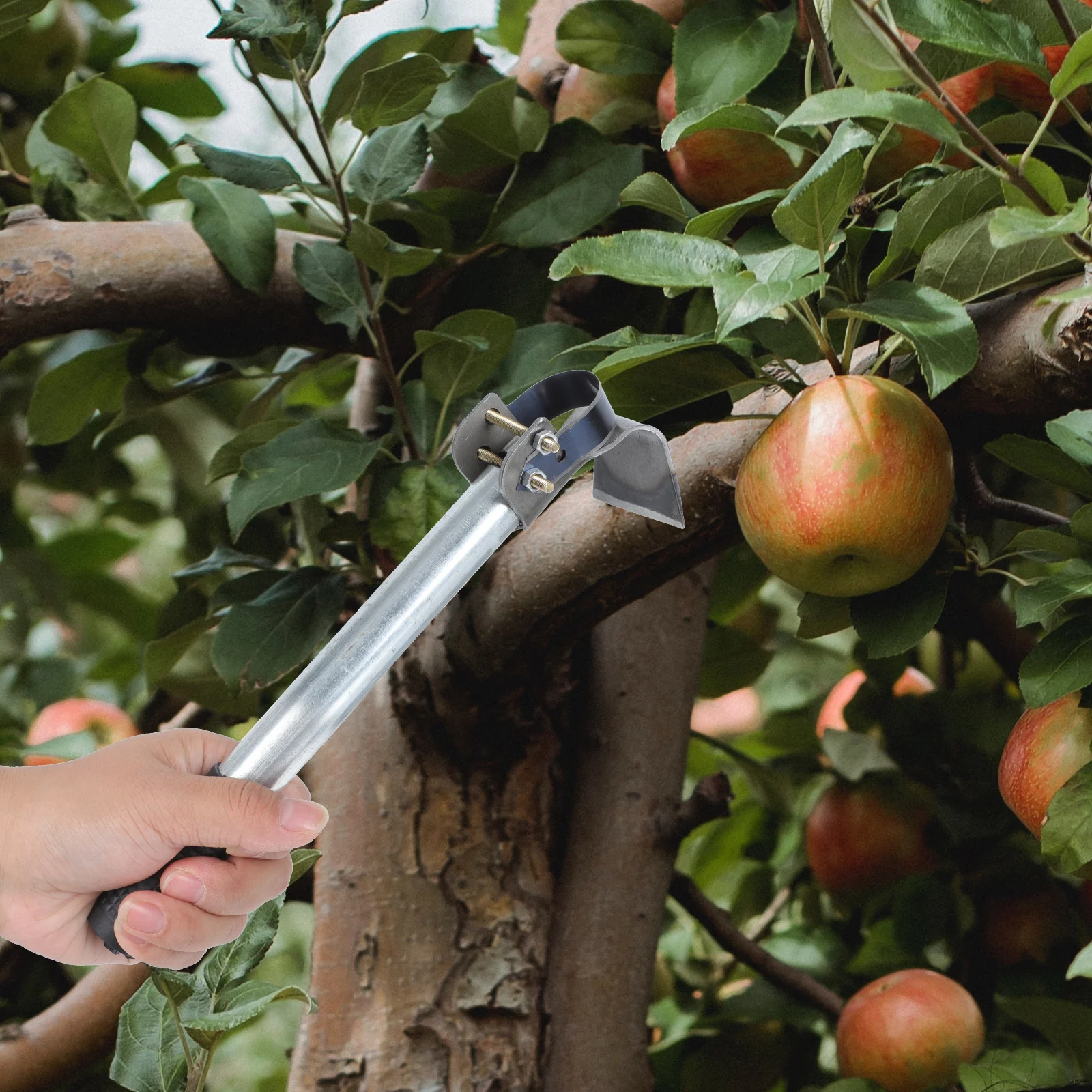 

1Pcs Tree Bark Cutter Traditional Forged Bark Scraper for Garden Fruit Tree Grafting and Planting Manual Debarking Tool