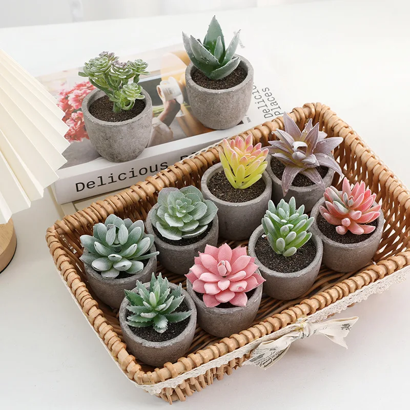 

1PC Mini Artificial Plants Vivid Cactus Succulent Bonsai Plant with Vase Office Table Indoor Plants Floral Craft Home Decoration
