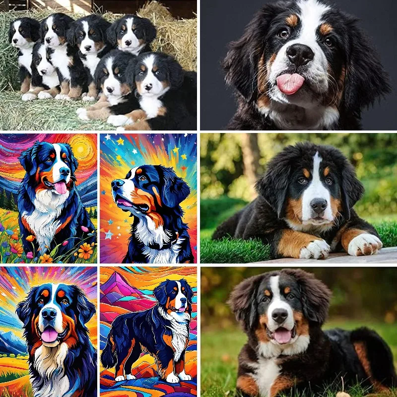 Bernese Mountain Dog Art Diamond Painting Full Square,Round 5D Rhinestone Embroidery Mosaic, Cross Stitch ,Home Decoration