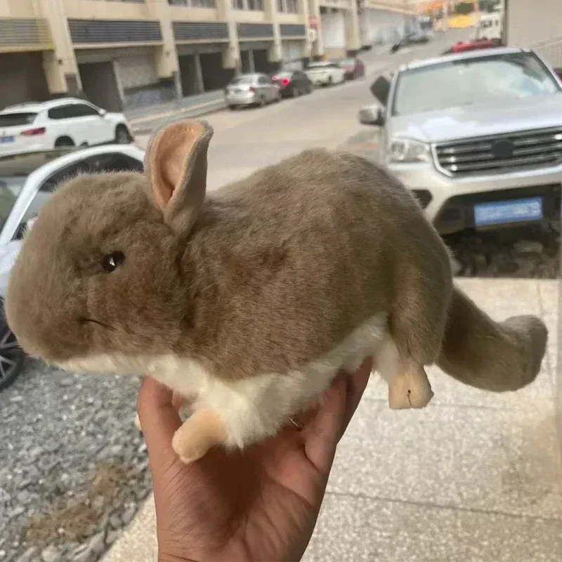 Zoo 36cm Simulation Lifelike chinchillas Rat Mouse Plush Toys Soft Chinchillidae Stuffed Animals doll Birthday christmas Gifts