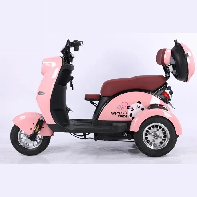 

3-Wheel Electric Trike Scooter for Adults - Motorized Cargo Tricycle with High Power Motor