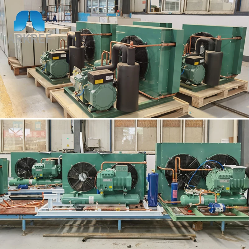 20 Years Bitzer Compressor Distributor CSH7563-80-38P Bitzer Screw Compressor