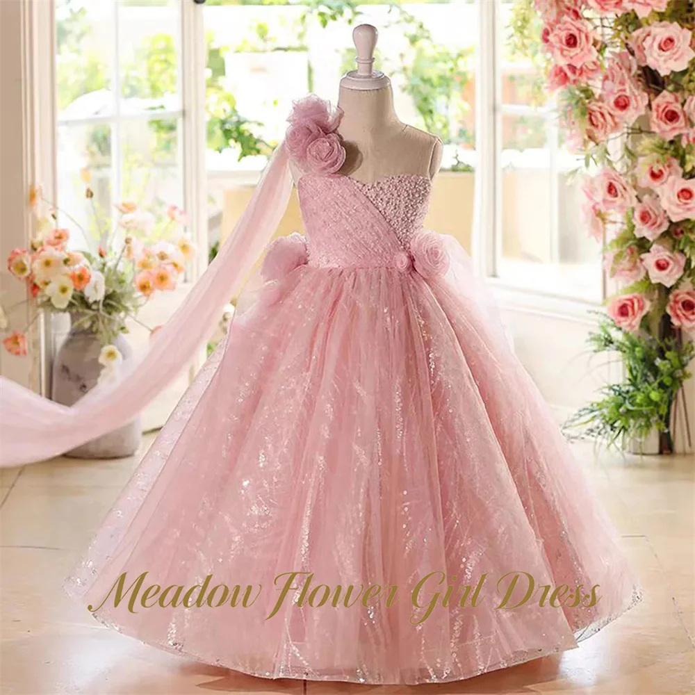 Meadow Blush Pink Pageant Dress for Girl Sleeveless Children Birthday Party Dress 3D Floral Tulle Train Girls Princess Dresses
