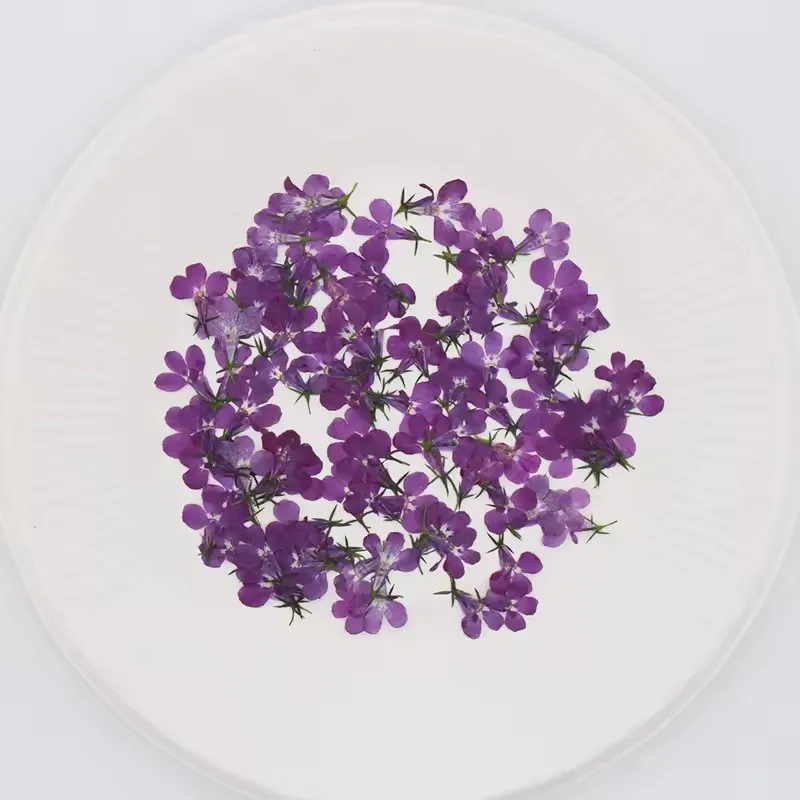 120 Stück/1,5 cm, natürliche kleine Blumen-Tropfen-Kleberaufkleber für Handyhüllen, Lesezeichen, Fotorahmen, Dekoration, Schönheits- und Nagelverzierungsmaterial, Herbstdeko – Detail 6