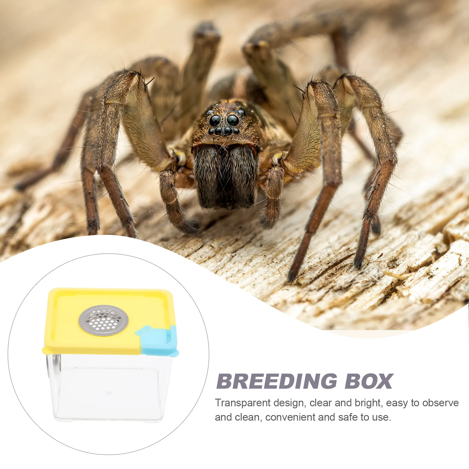 

Lightweight Transparent Reptile Box Spider Case Pet Breeding Container Durable Sturdy Material Holes Easy Clean
