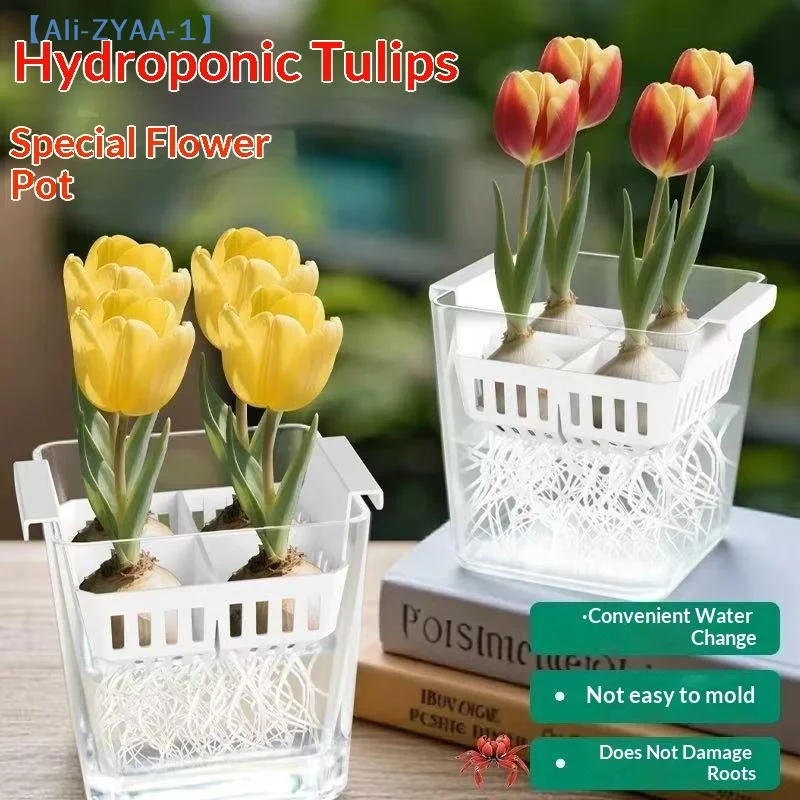 【ZYAA-1】1Pcs Hydroponic Containers With Breathable Support Basket Tulip Seed Hydroponic Flowerpot 4 Holes Soilless Flower Pot