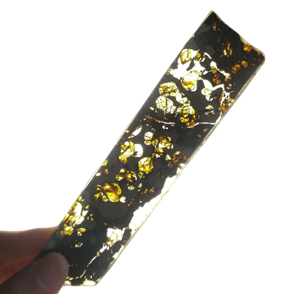 Brenham Olive Meteorite Slice Olive Meteorite Specimen Collection Natural Meteorite Material Specimen