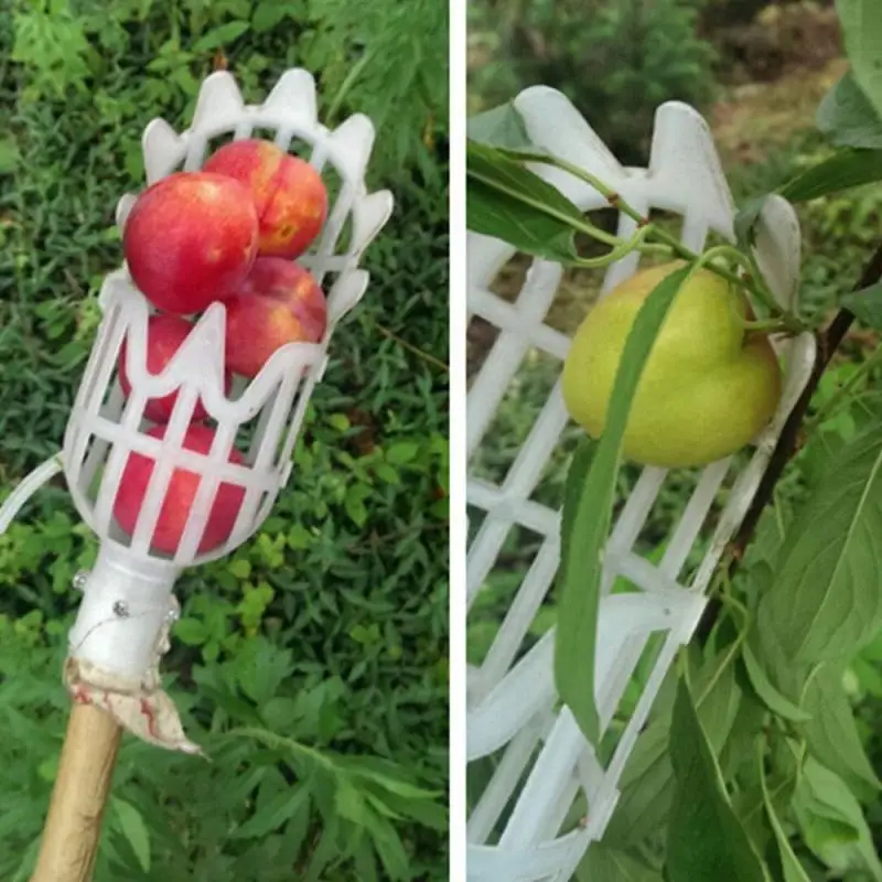 Cesta de jardín con cabezal recolector de frutas, herramienta de recolección de frutas de plástico multicolor, suministros de recolección de Jujube de Bayberry agrícola