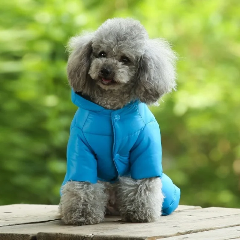 Thumbnail 4 - #2 Trending Puppy Coats Right Now