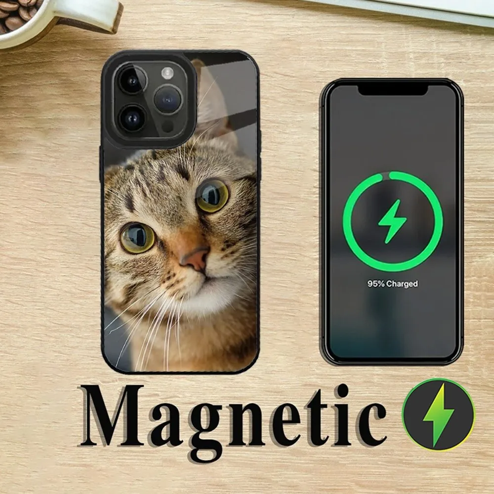 Tabby Cat Cute Paw Phone Case For iPhone 16,15,14,13,12,11,Plus,Pro,Max Mini Magsafe Magnetic Wireless Charging