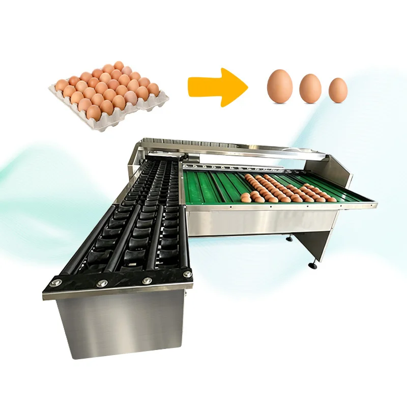 Mobile Egg Sorting Machine Easy Move Egg Size Separator for Multiple Poultry Breeding Sites