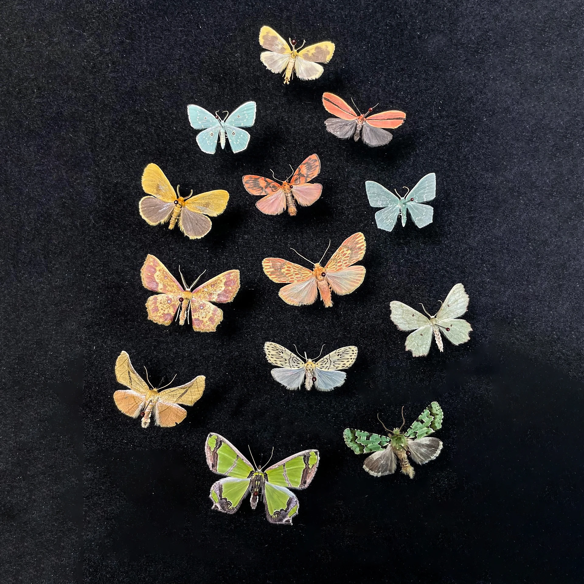 13Pcs/Set Natural Real Moth Specimens Rare Exquisite Mixed Multi-color Moth Specimens For Collection Display Gift