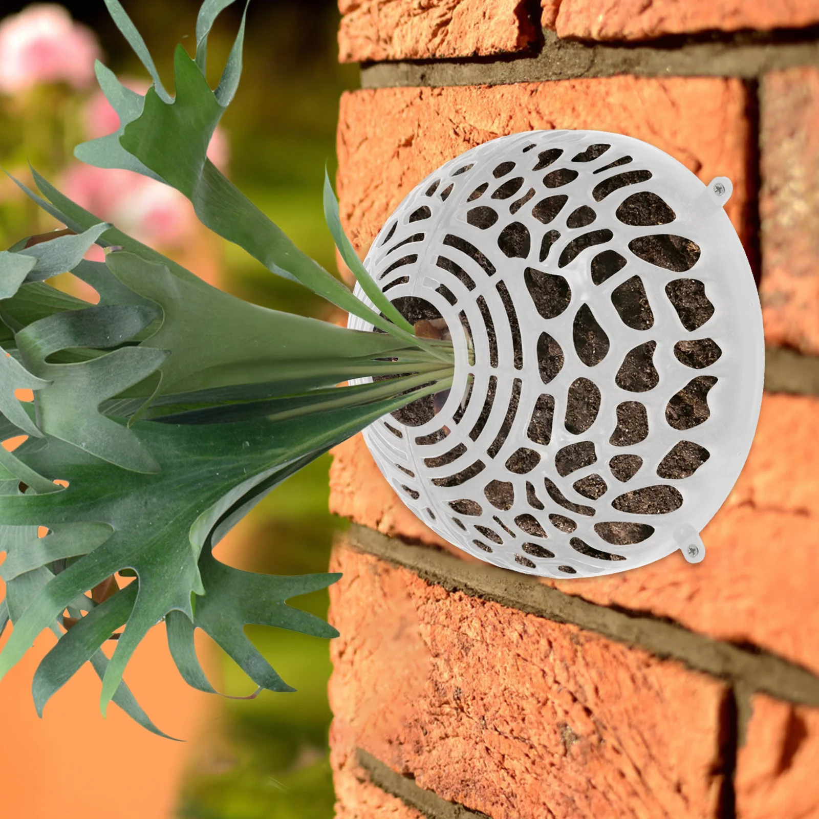 

Suspension Ball for Phalaenopsis Water Plants Cover Breathable Transparent Floral Air Vent Planter Fitting Detachable Soil